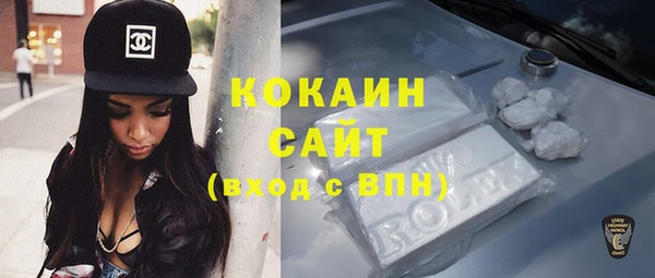 шишки Алексеевка