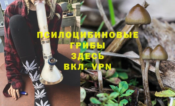 Альфа ПВП Алзамай