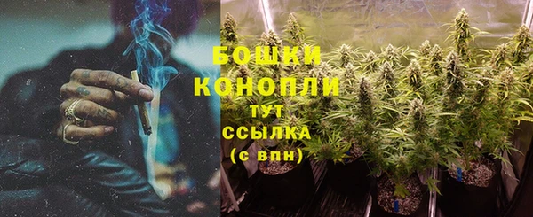 шишки Алексеевка