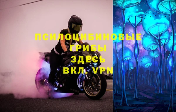 MESCALINE Гусиноозёрск
